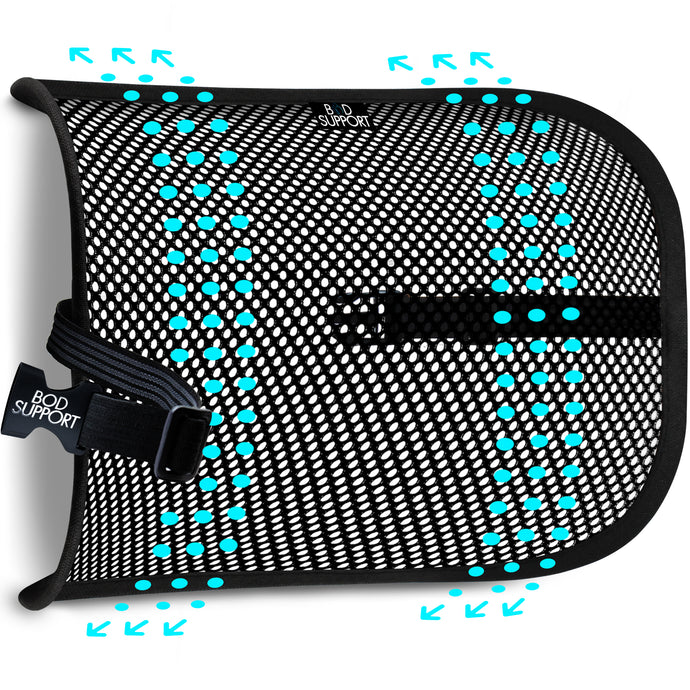 Lumbar Support as a Key for Back Pain Relief