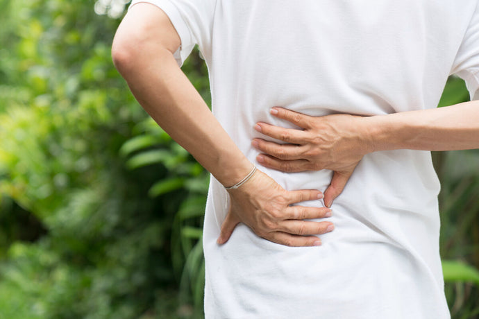 Difference Between Back Pain and Kidney Pain