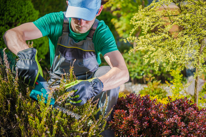 Gardening with a Healthy Back: Tips for Preventing Strain and Injury