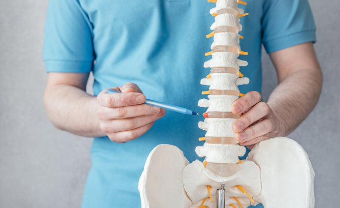 Bulging or Herniated Disc: What's the difference?