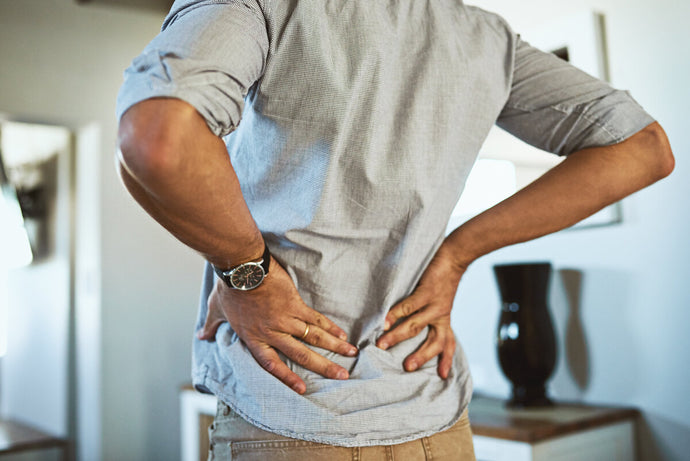 “5 exercises to prevent lower back pain”