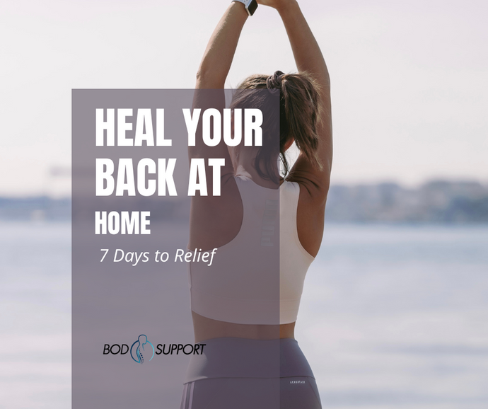 lower back exercises gym